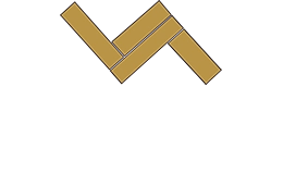 LOGO-VISION-COMPLETO-WHITE-260px LOGO-VISION-COMPLETO-WHITE-260px